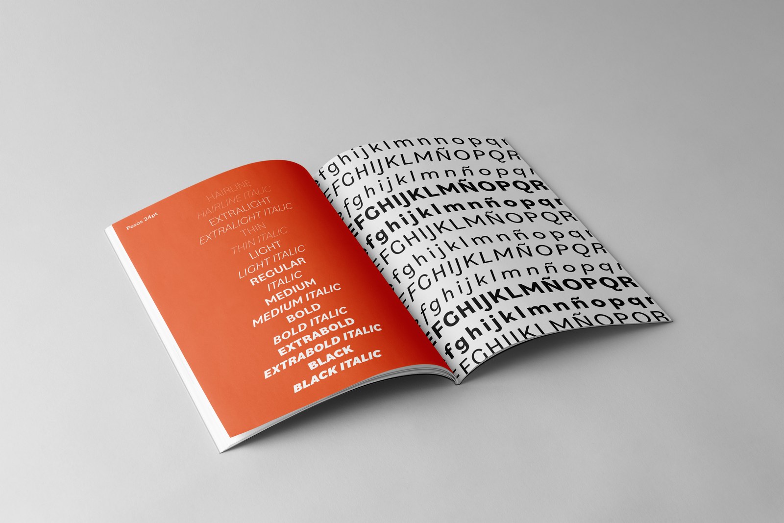 Bilo — Type Specimen — 1
